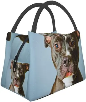 Портативная изолированная сумка для ланча с милой собакой Питбуль, водонепроницаемая сумка-бенто для офиса, школы, Пеших прогулок, пляжа, пикника, рыбалки