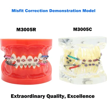 Стоматологическая модель Ортодонтическая модель зубов С металлическими/керамическими Брекетами Для ортодонтического обучения и реставрации