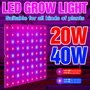 Светодиодные Лампы для Выращивания Grow Light 20 Вт 40 Вт Полный Спектр Освещения растений Фитолампа Фитолампа Для Выращивания Рассады растений AC85-265V